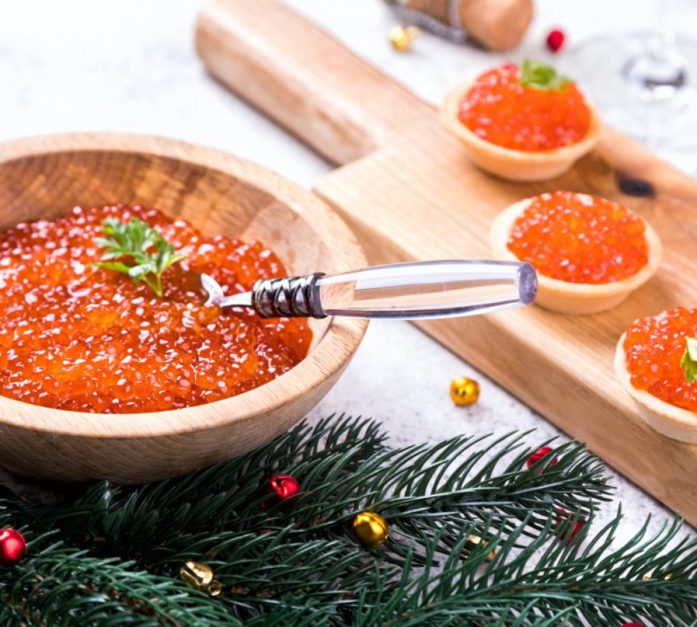 christmas-and-new-year-holidays-composition-red-s-2024-09-22-19-59-36-utc-scaled-r89hnstvazlavzdq5gtej7xgdfmd35mfozn93yu91c