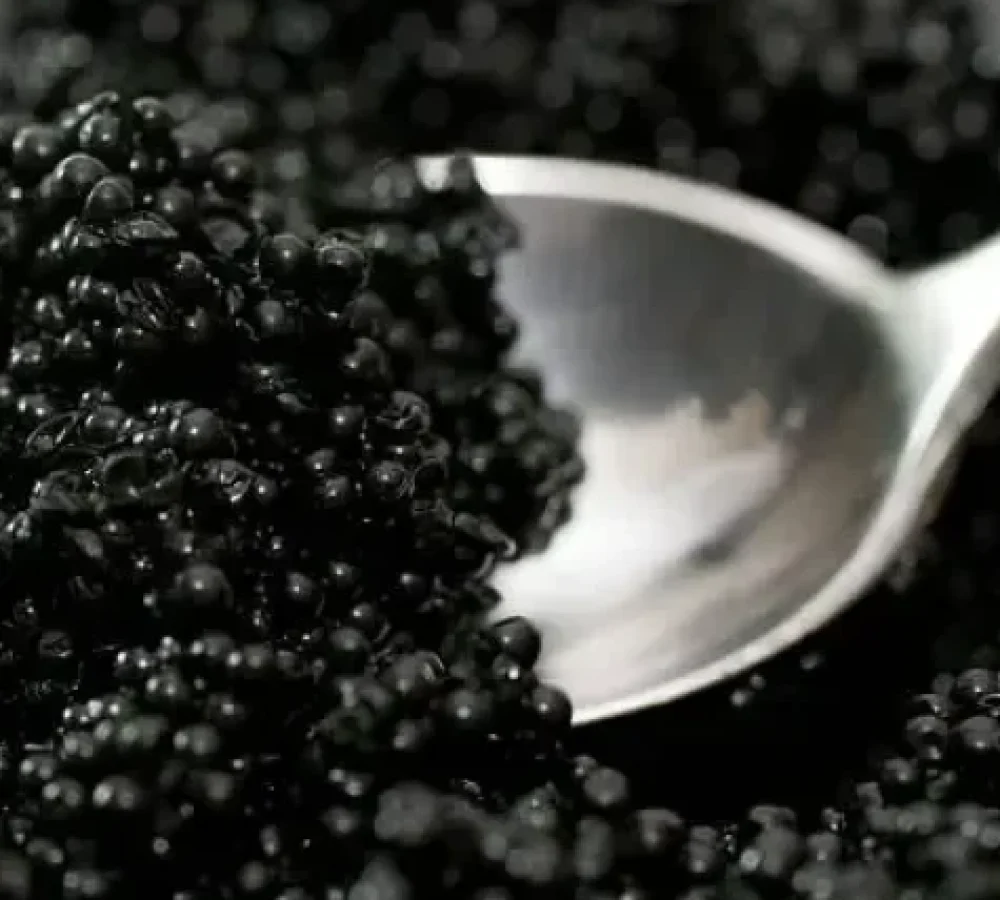 istockphoto-172751471-612x612-1-r89gxwdv0t2j3ewwygd4yalpyzkubffdwqy2qjawuy