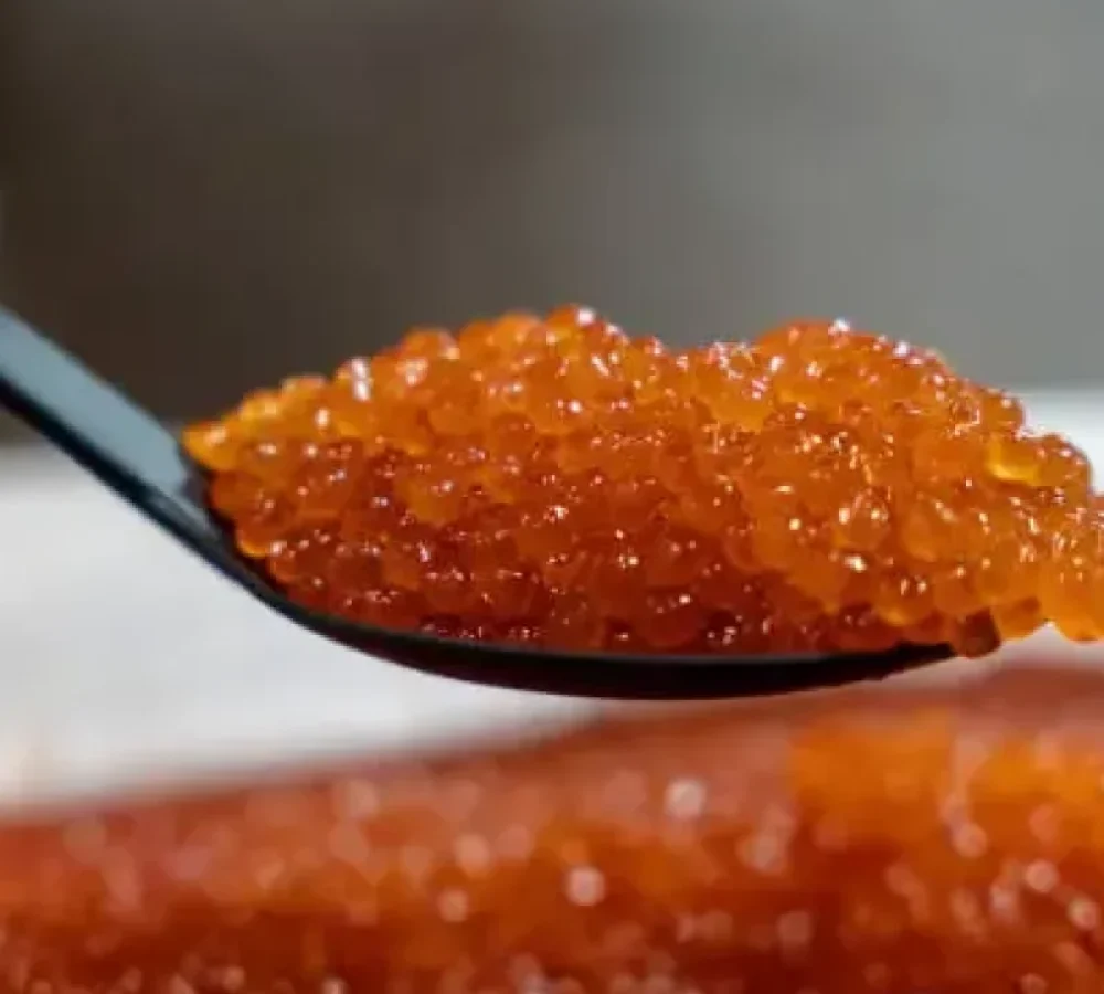 istockphoto-2191237541-612x612-1-r89gy8lvg6ll5qieex1n8656t7m0rh57ugywa2qo8w